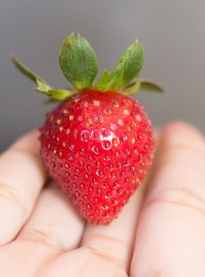 Kodune maasika juuksemask