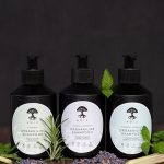 hoia-orgaaniline-shampoon